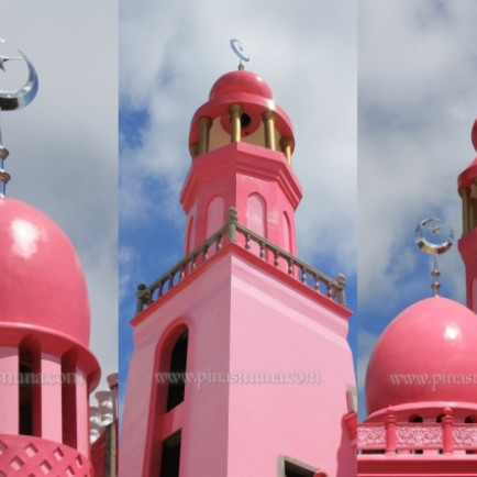Pink Mosque Domes.JPG
